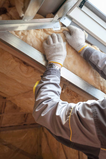 Best Types of Insulation in Indian River, MI