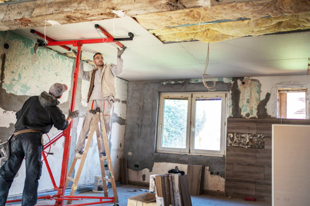 Best Commercial Insulation in Indian River, MI