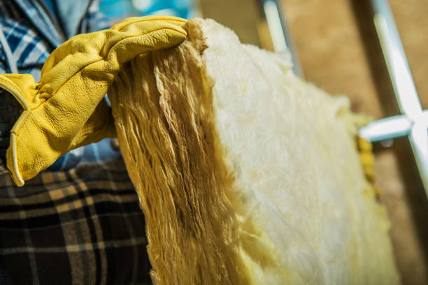 Best Specialty Insulation in Indian River, MI