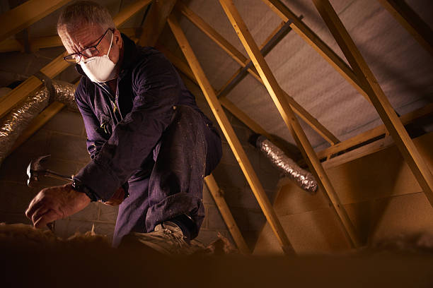 Best Commercial Insulation in Indian River, MI